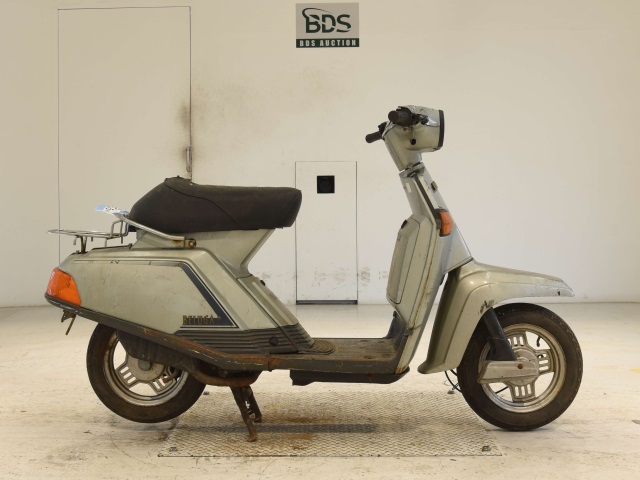 Yamaha BELUGA50