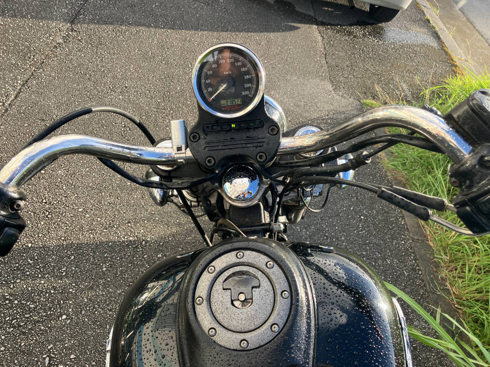 HD SUPER GLIDE FXDI1450 — фото 2