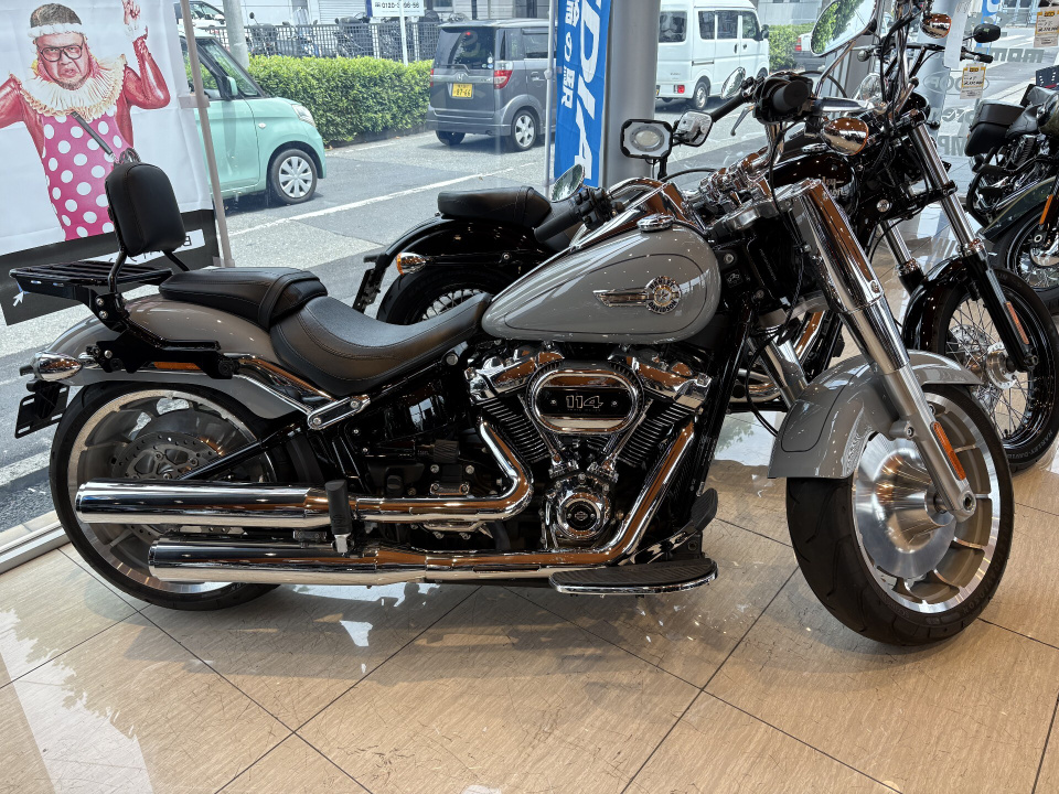 Harley-Davidson FLFB S