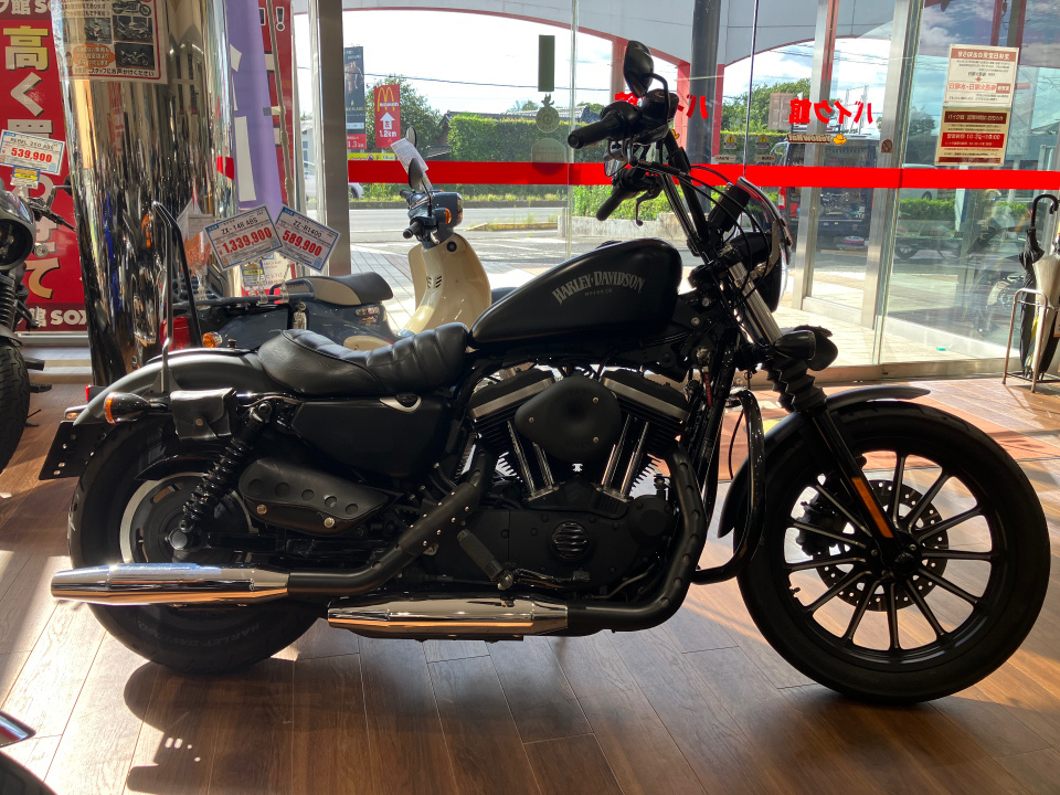HD SPORTSTER IRON XL883N
