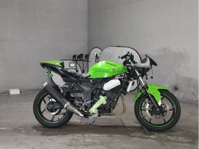 Kawasaki NINJA250R