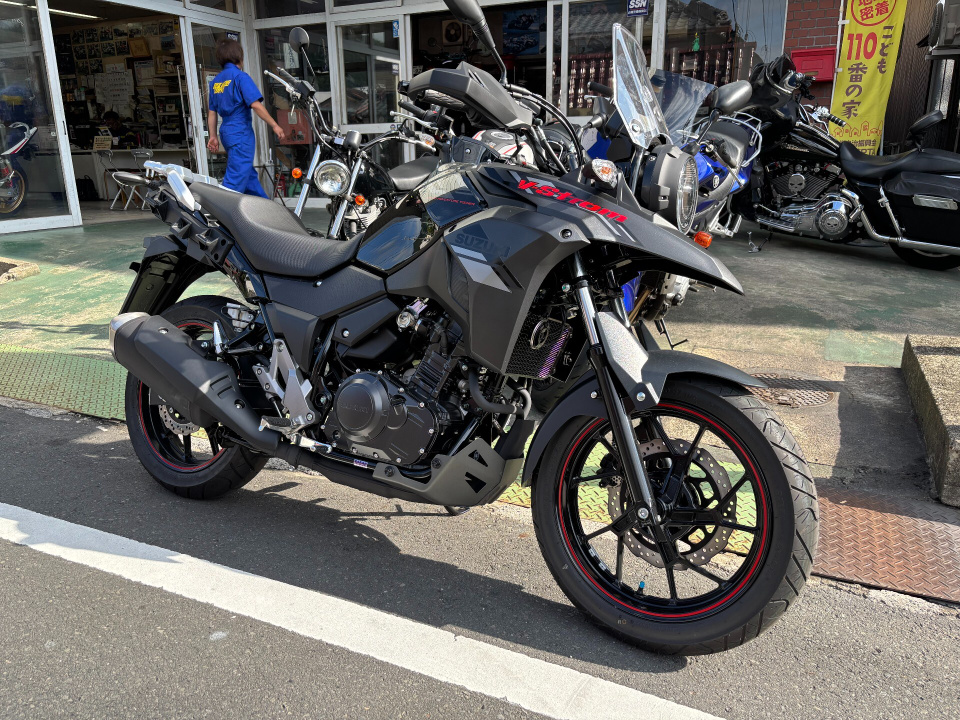 Suzuki V-STROM DL250 — фото 4