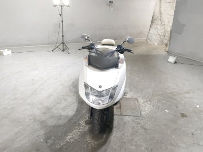 Yamaha MAXAM250 — фото 3