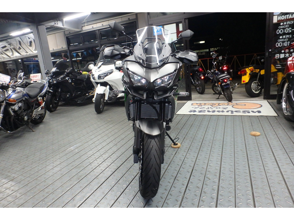 Kawasaki VERSYS 650 — фото 2
