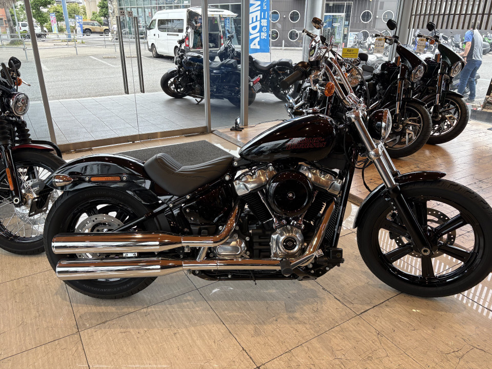Harley-Davidson SOFTAIL FXST