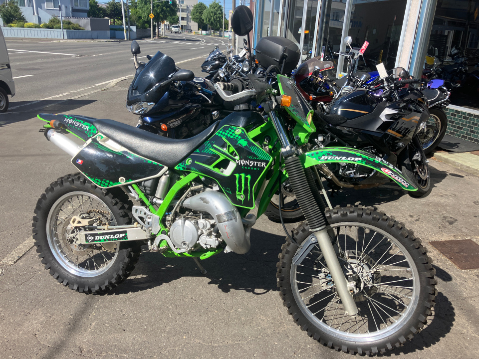 Kawasaki KDX220SR
