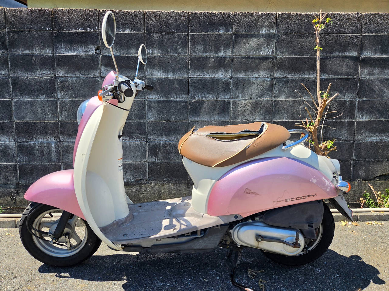 Honda SCOOPY50