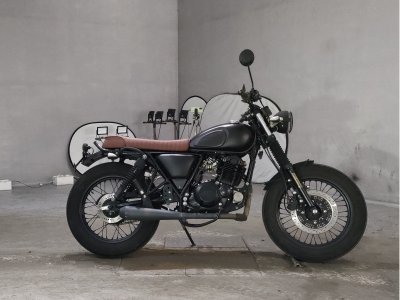 MUTT MONGREL 250
