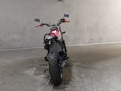 Yamaha TW225 — фото 4