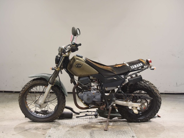 Yamaha TW200 — фото 2