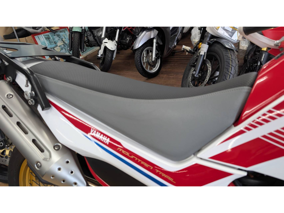 Yamaha ｾﾛｰ250 ﾌｧｲﾅﾙED — фото 16