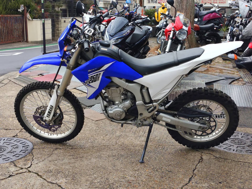 Yamaha WR250R — фото 7