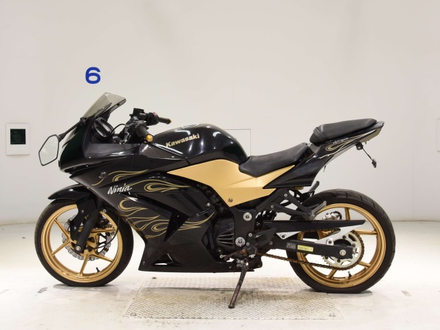 Kawasaki NINJA250R — фото 2