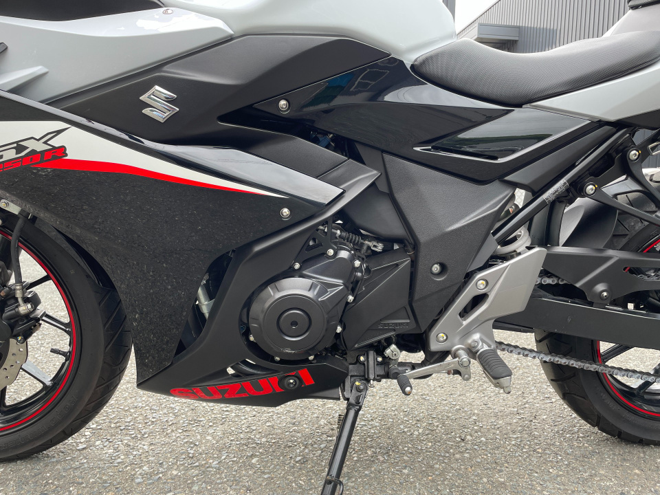 Suzuki GSX250R — фото 12