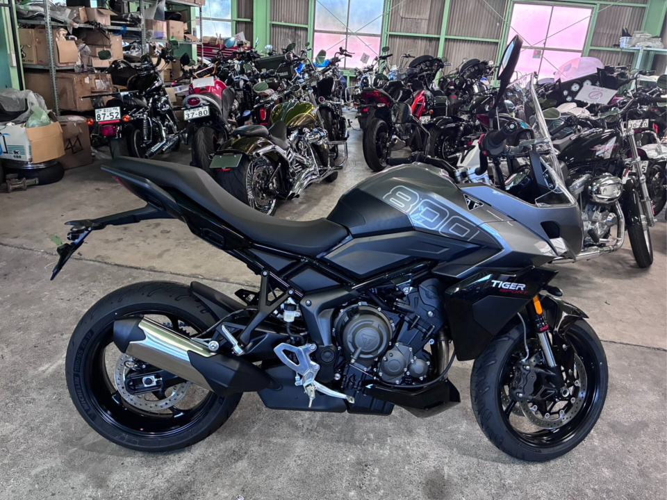 Triumph TIGER SPORT 800