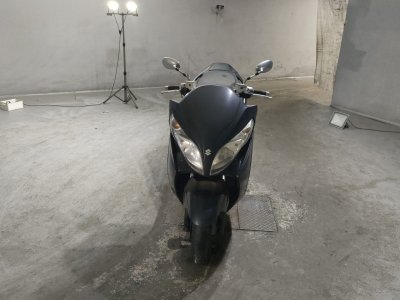 Suzuki SKYWEAVE 250SS — фото 3