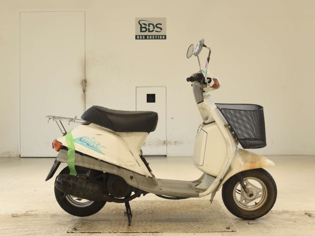 Yamaha MINT