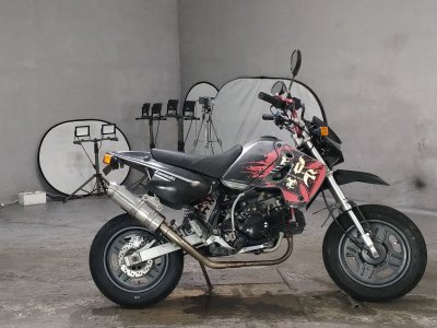 Kawasaki KSR110