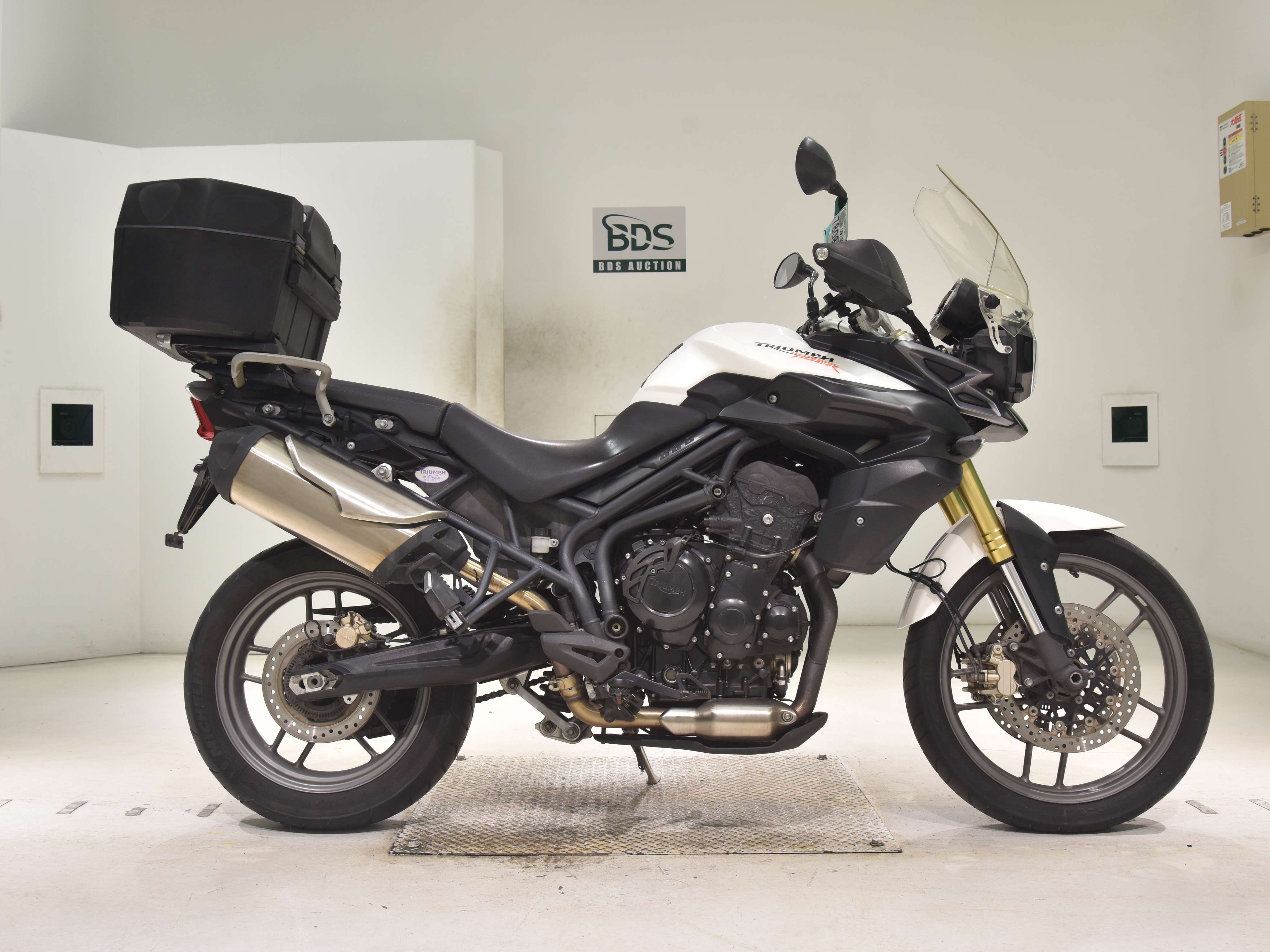 Triumph TIGER800