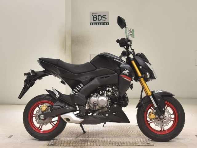Kawasaki Z125 PRO