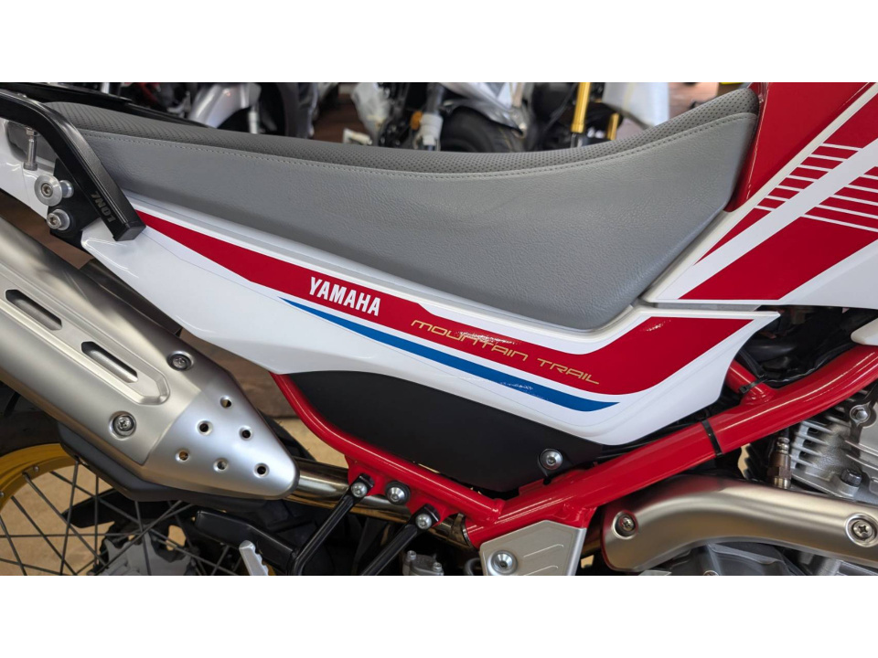 Yamaha ｾﾛｰ250 ﾌｧｲﾅﾙED — фото 29