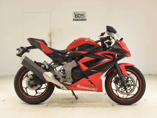 Kawasaki NINJA250