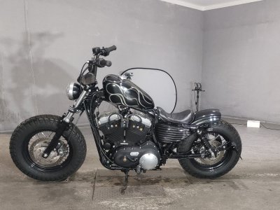 HD SPORTSTER FORTY-EIGHT XL1200X — фото 2