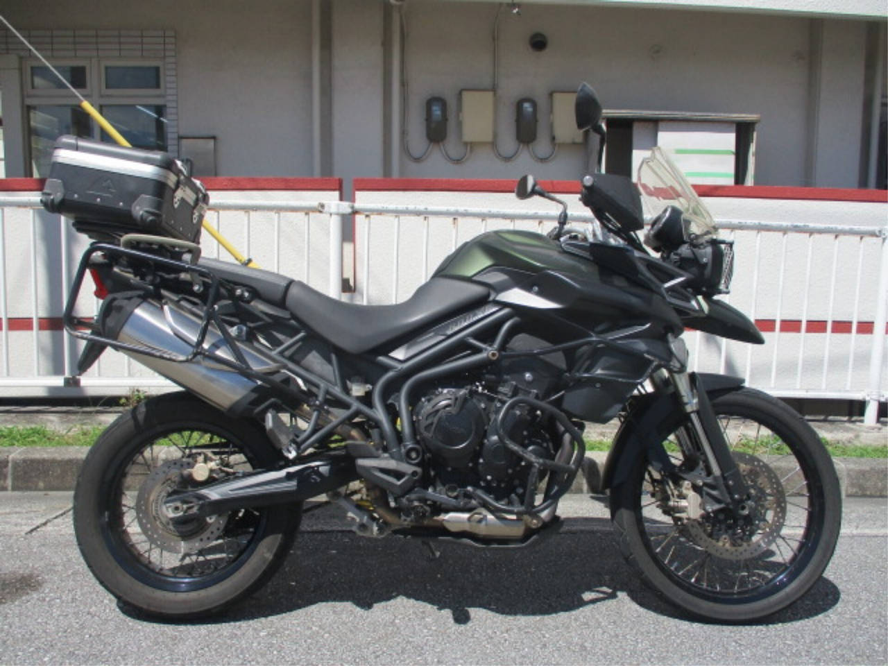 Triumph TAIGA 900 RALLY PRO