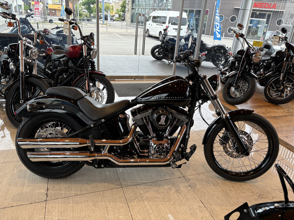 Harley-Davidson FXSBSE 1800 CVO