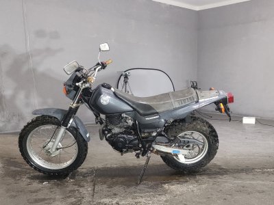 Yamaha TW200 — фото 2