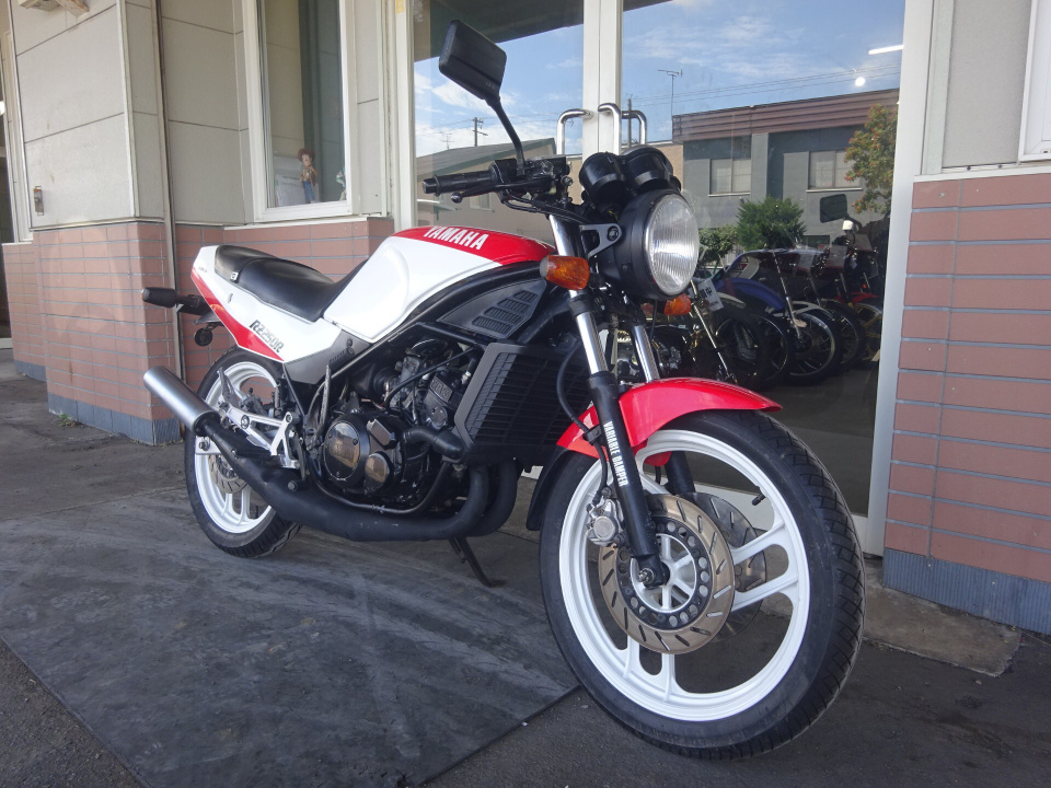 Yamaha RZ250R — фото 4
