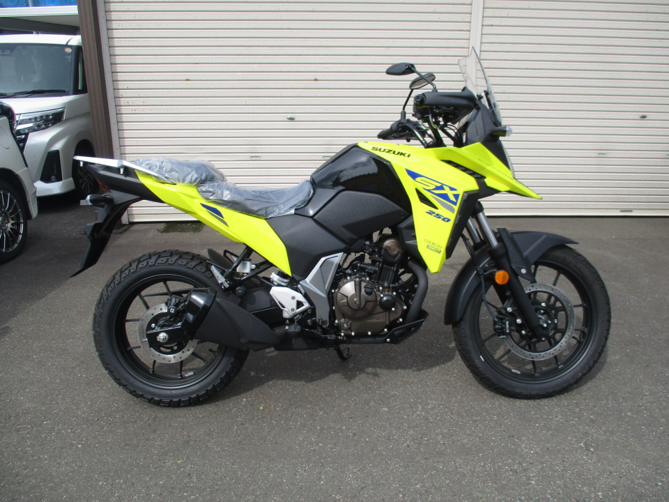 Suzuki V-STROM 250