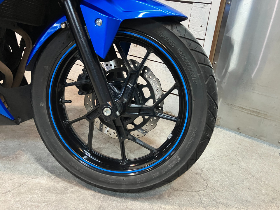 Suzuki GSX250R — фото 21