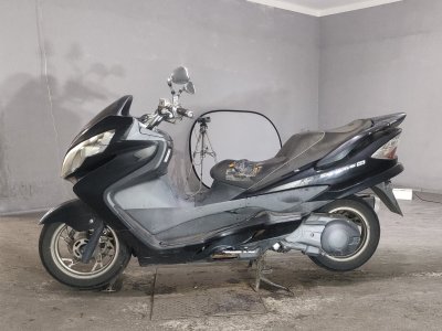 Suzuki SKYWEAVE 250SS — фото 2