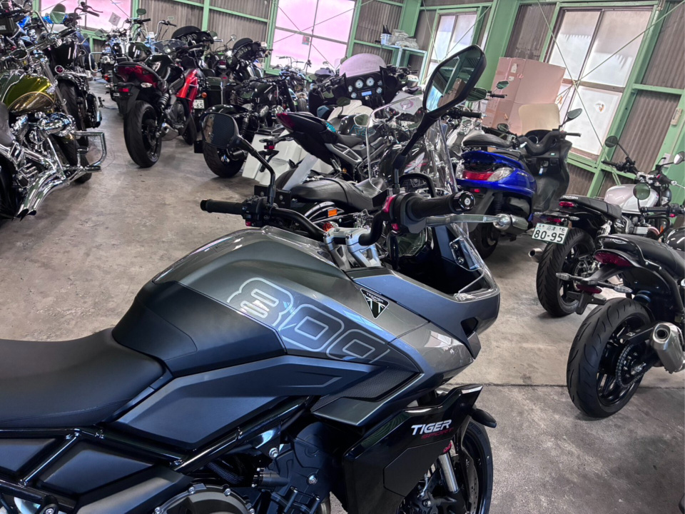 Triumph TIGER SPORT 800 — фото 3
