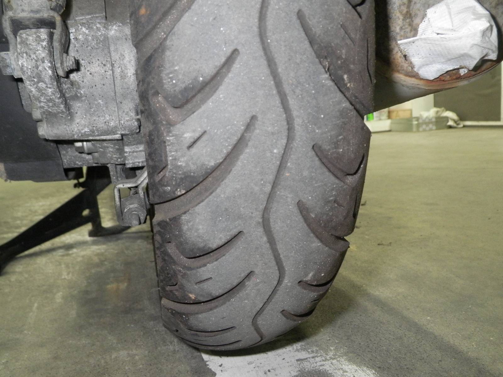 Фото для Задняя часть