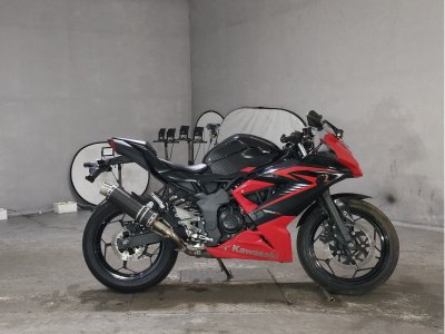 Kawasaki NINJA250
