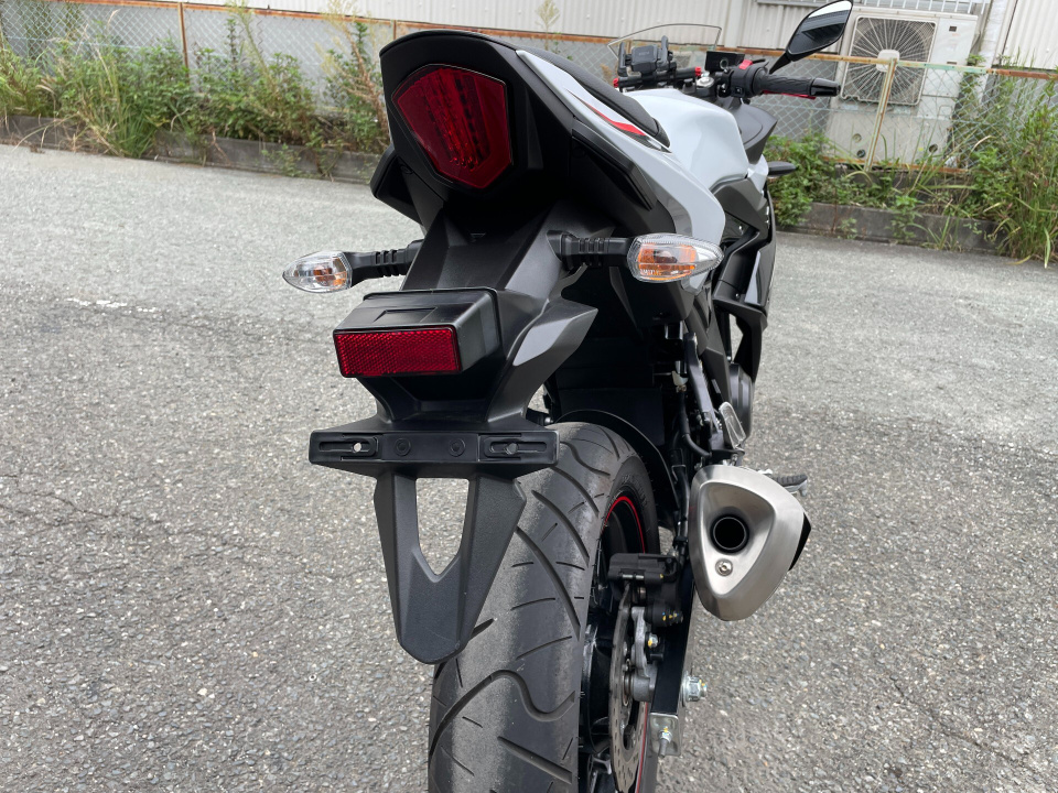 Suzuki GSX250R — фото 6