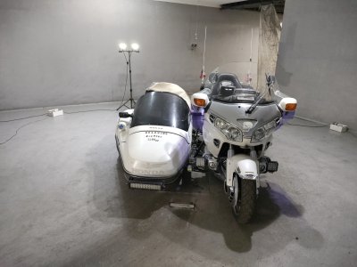 Honda GL1800 SIDECAR — фото 3
