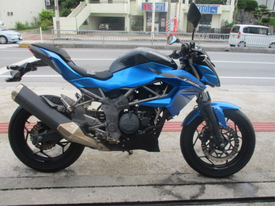 Kawasaki Z250SL