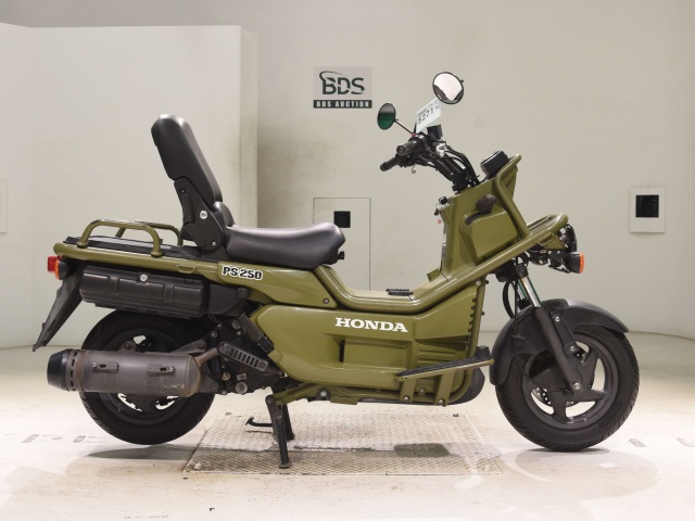 7843] Honda PS250 BIG RUCKUS - MF09-1200954