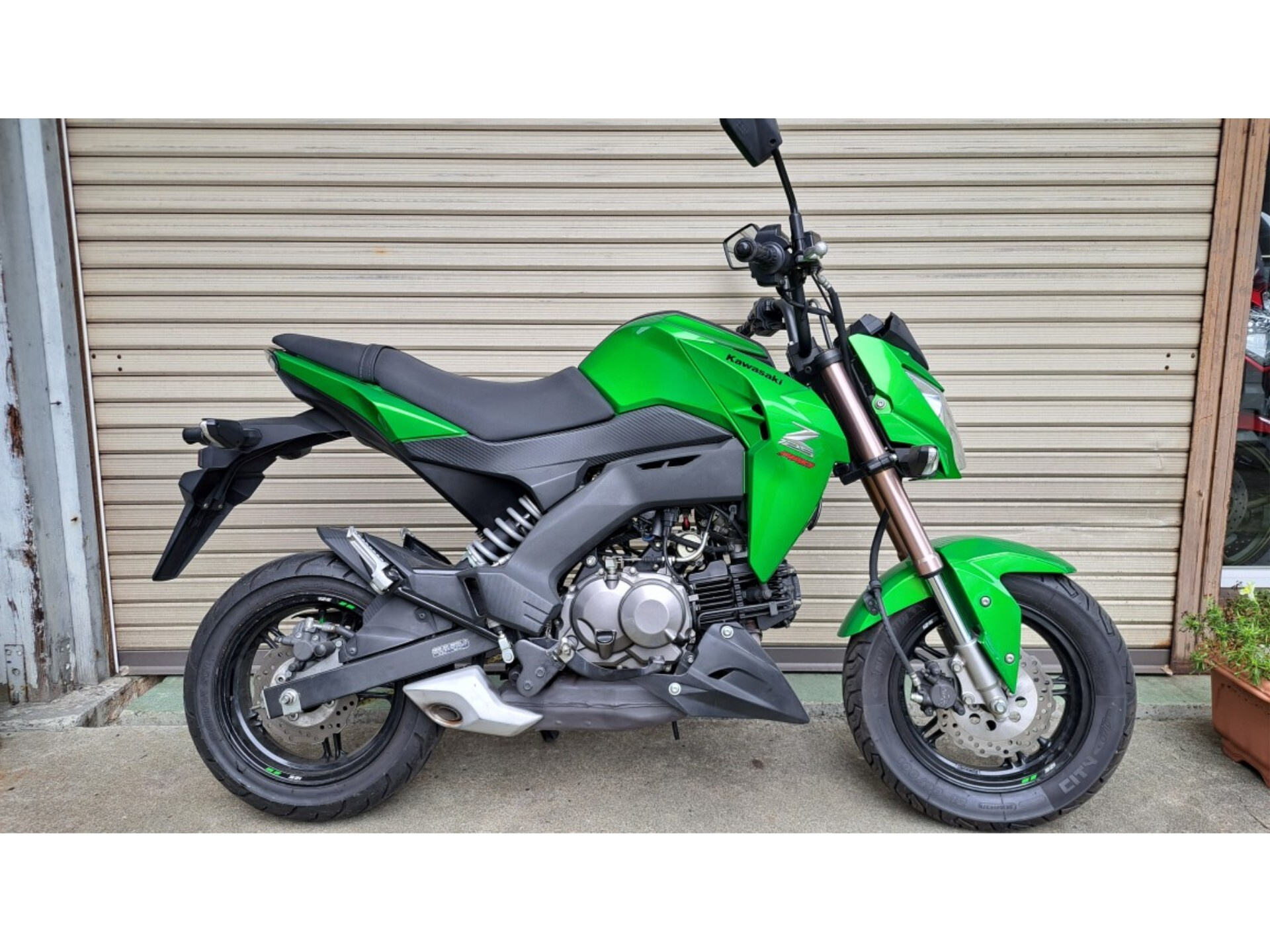 Kawasaki Z125 PRO