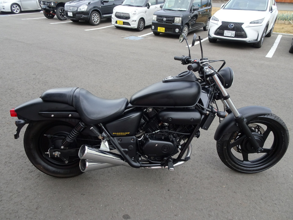Honda MAGNA250