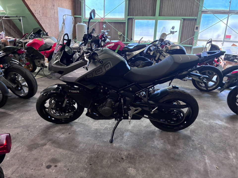 Triumph TIGER SPORT 800 — фото 2