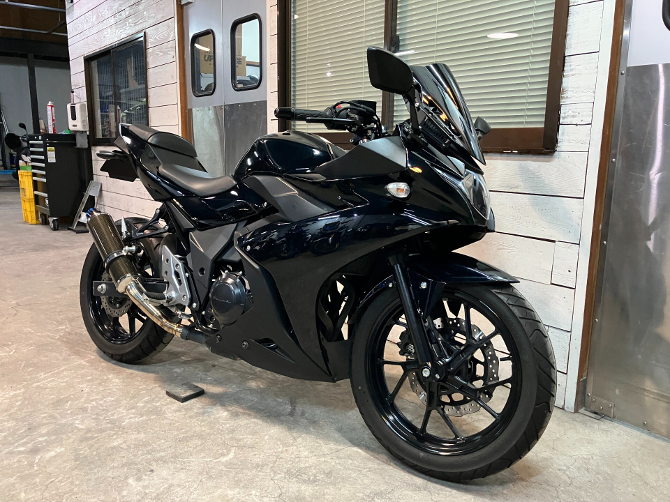 Suzuki GSX250R — фото 7