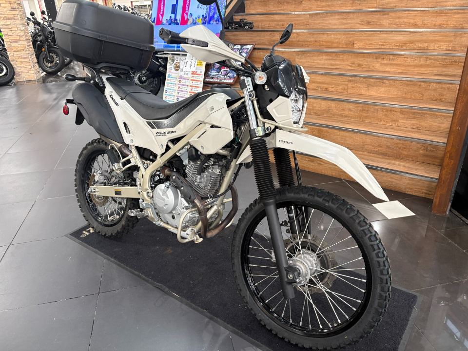 Kawasaki KLX230 SHERPA — фото 2