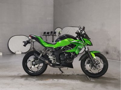 Kawasaki Z250SL