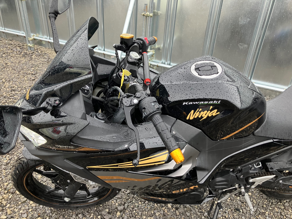 Kawasaki NINJA250 — фото 10