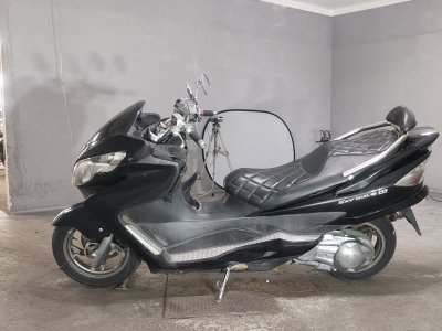 Suzuki SKYWEAVE 250SS — фото 2