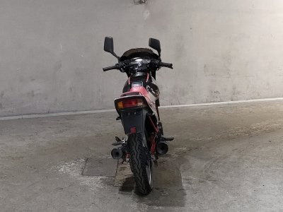 Honda VT250F XELVIS — фото 4